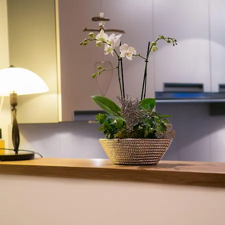 Шале A La Casa Церматт